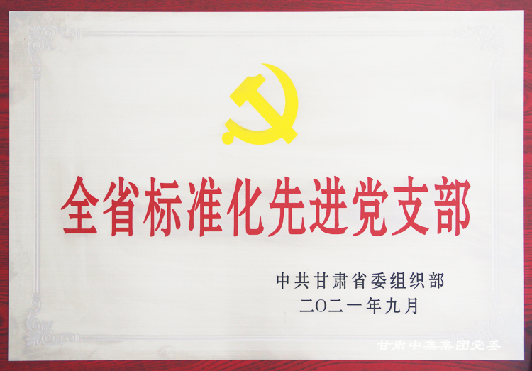中集理想國際寫字樓聯(lián)合黨支部榮獲“全省標(biāo)準(zhǔn)化先進(jìn)黨支部”榮譽(yù)稱號(hào)
